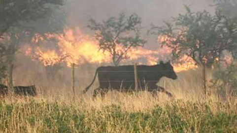La Pampa: Hay 2 millones de hectáreas con riesgo de incendios