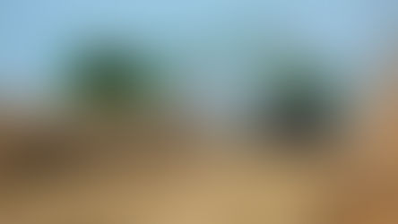 Agricultura: La cosecha 2018-2019 es récord y el maíz supera a la soja