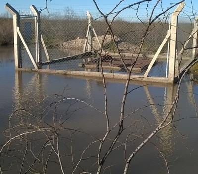Denuncia por contaminación del río Colorado