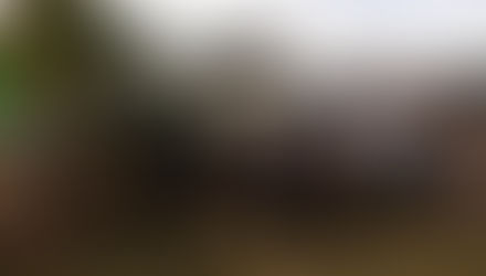 ¿Un bono de entre 8 mil y 9 mil pesos?