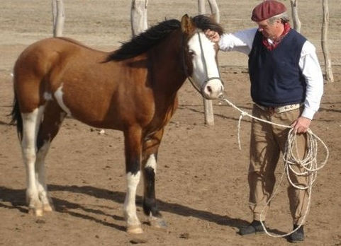Ordenan seguir investigando al ruralista y dirigente macrista que pidió meter bala a los K
