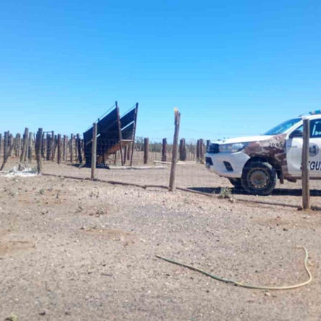 Tres detenidos con prisión preventiva por el escándalo del remate de hacienda en vivo por internet