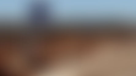 Ganadería: La Pampa con 106 hotelerías feedlot