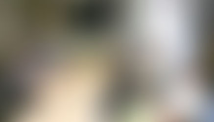 UNLPam y Universidad de Alemania editarán libro para exponer en el mundo el caso del río Atuel