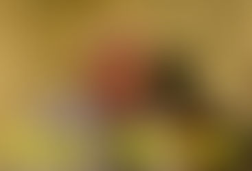 Morisoli y el corte del Atuel: “Una historia larga y penosa”