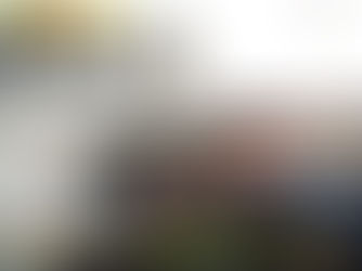 Franco Schall Fredes de Winifreda y Luciano Alzogaray de Colonia Barón realizaron pasantías en Franc