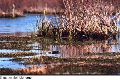 Charla sobre los humedales