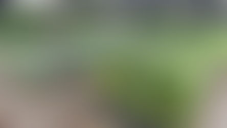 Anunciaron la EXPO VIVERO 2016