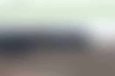 Un plan para recuperar el rodeo y las pasturas después de la inundación