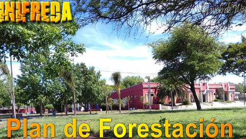 Winifreda: continuará el plan de forestación