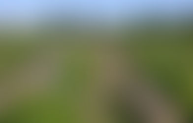 Se sumarán 1.000 hectáreas bajo riego en Casa de Piedra