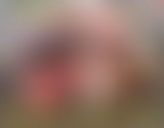 Winifreda: Decomisan carne porcina y la incineran