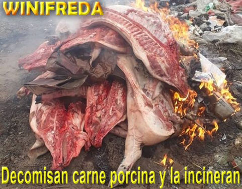 Winifreda: Decomisan carne porcina y la incineran