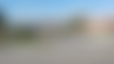 Municipalidad de Winifreda lanza el "Plan forestal anual"