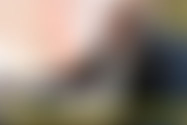 Presentan proyecto de ley para intervenir municipio de Lonquimay