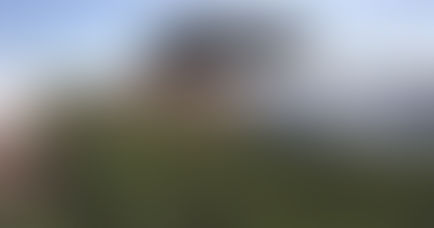 Rompieron silo bolsa con soja