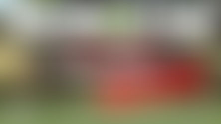 Convocan a presentar planes de manejo en bosques nativos