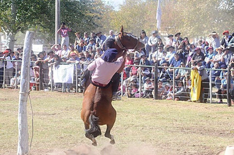 Fiesta del Caballo: ''Las denuncias contra las domas atacan la tradición''