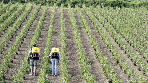 Plaguicidas: Capacitación para personal de Salud de la provincia de La Pampa