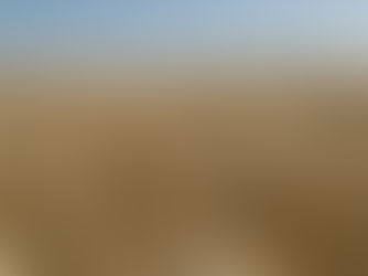 Hugo Camera de Winifreda subcampeón de trigo, categoría Peso Hectolítrico