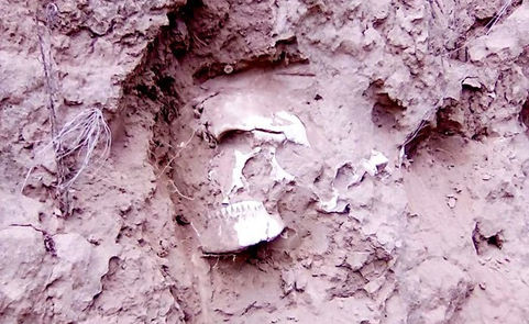 Cazador halló un cráneo en un campo de Telén