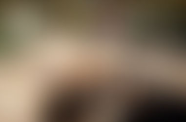 "Liberatito" el gliptodonte hallado en la ciudad de Santa Rosa ya está en el Museo de Hist