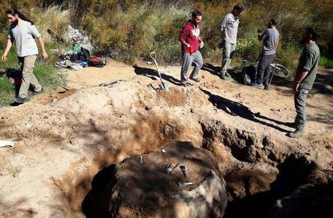 "Liberatito" el gliptodonte hallado en la ciudad de Santa Rosa ya está en el Museo de Hist