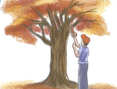 Dictaron curso de poda