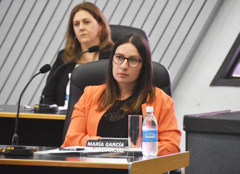 Proponen declarar “Semana de la Educación Sexual Integral”