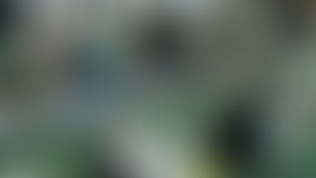 Alpargatas cerró planta y adelantó vacaciones