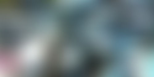 Winifreda : Campaña de recoleccion de residuos eléctricos y electrónicos