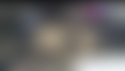 Una cabaña pampeana vendió un toro en 195 mil pesos