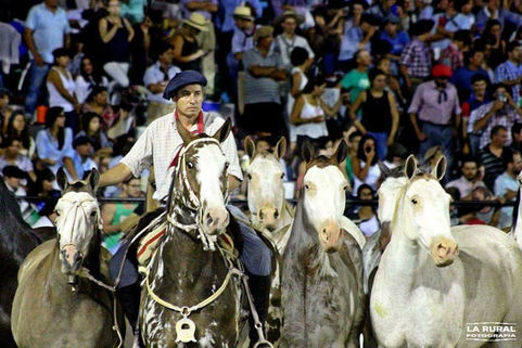 Jinete winifredense premiado en concurso de entrevero de tropillas en Jesús María