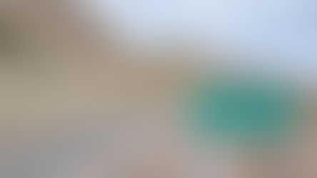 La Pampa apuesta por el Paso Pehuenche