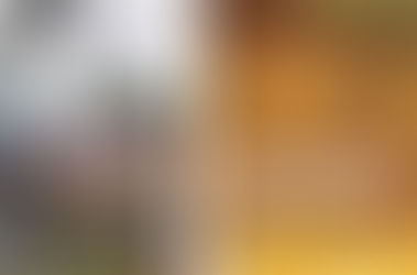 Folleto informativo de la Municipalidad de Winifreda