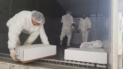 Frigorífico Santa Isabel cargó caprinos a Angola y prepara «cortes anatómicos» hacia Brasil