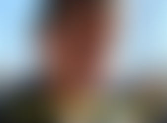 Intendentes de la UCR pagarían 'bono navideño'