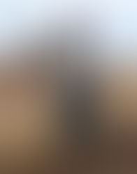 Frigorífico no podrá recibir más liebres de La Pampa