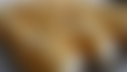 ¿Aumenta el pan?: «La bolsa de harina se iría a $ 2.500»