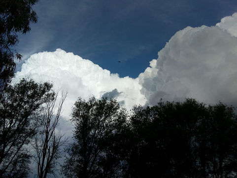 Lluvia 15 mm en Winifreda y granizo en Barón y Quemú