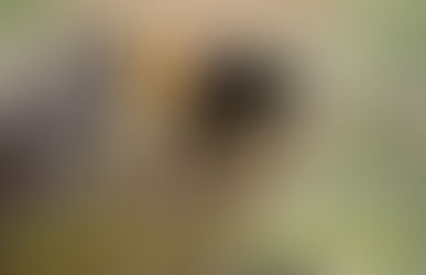 Winifreda: Mantenimiento de canales y desagües