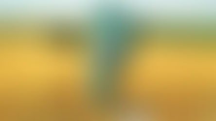 Feriado por Santa Rosa de Lima, Patrona de la Provincia