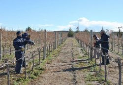 Satisfacción en el Ente Provincial del Río Colorado