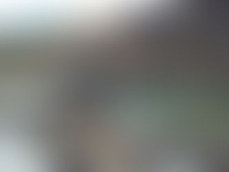 El FMI vetó Portezuelo y Macri desistió de financiarla