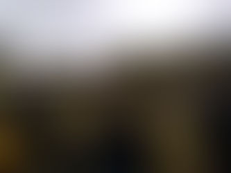 Se realizó el taller de elaboración de bio fertilizantes