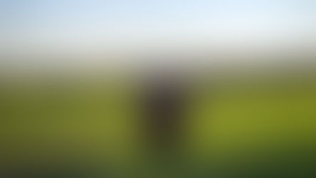 «Doma integral»: una experiencia particular que podés vivir en La Pampa