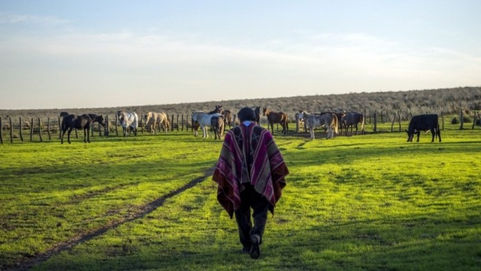 «Doma integral»: una experiencia particular que podés vivir en La Pampa