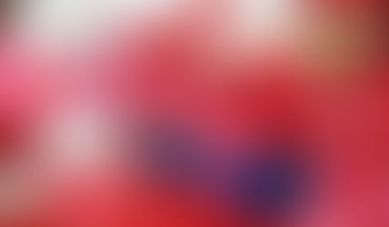 Patológicos: prorrogan traspaso a Provincia