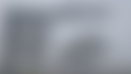 Una espesa niebla cubrió la región y redujo la visibilidad durante gran parte de la mañana