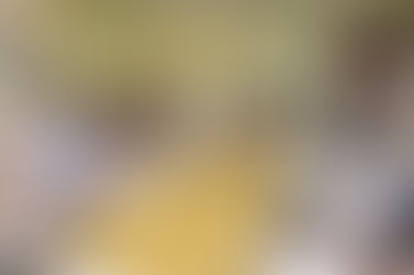 La Pampa sede del Consejo Regional Patagónico de Ciencia, Tecnología e Innovación